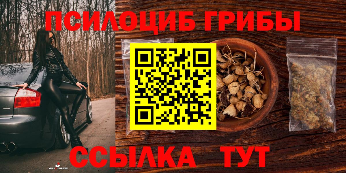 Галлюциногенные грибы Psilocybe Мценск