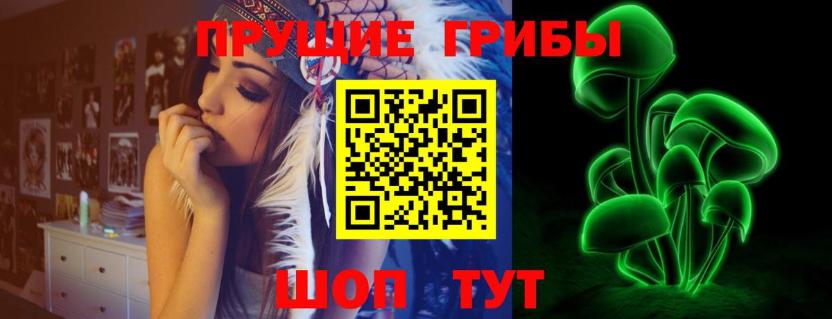 Мценск  Псилоцибиновые грибы прущие грибы  где купить наркотик  Вход с VPN  Псилоцибиновые грибы GOLDEN TEACHER 